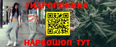 индика Конаково