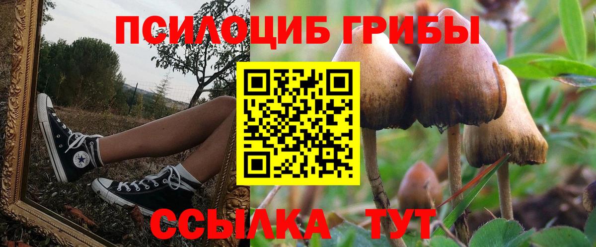 Кимры  Псилоцибиновые грибы мухоморы  Вход с VPN 